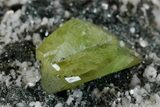 Green Titanite (Sphene), Feldspar and Muscovite - Pakistan #175081-3
